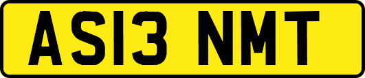 AS13NMT