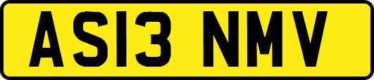AS13NMV