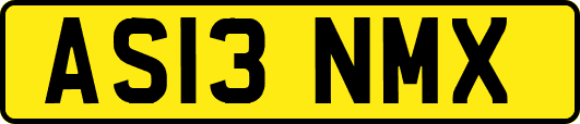 AS13NMX