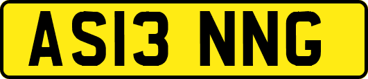 AS13NNG