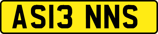 AS13NNS