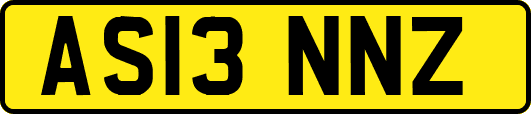 AS13NNZ
