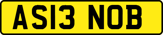 AS13NOB