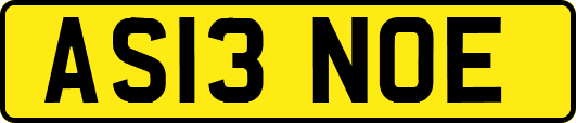 AS13NOE