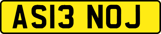 AS13NOJ