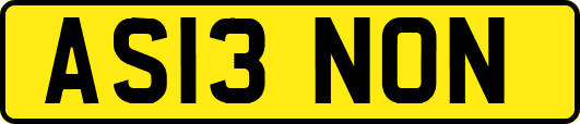 AS13NON