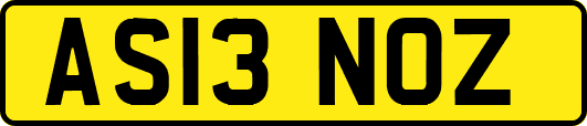 AS13NOZ