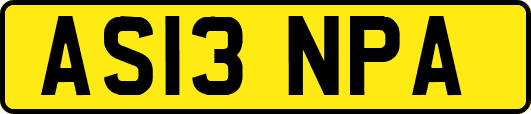 AS13NPA
