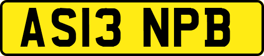 AS13NPB