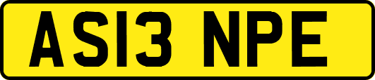 AS13NPE