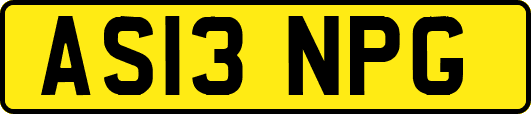 AS13NPG