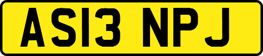 AS13NPJ