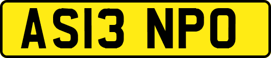 AS13NPO