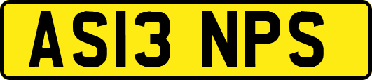 AS13NPS