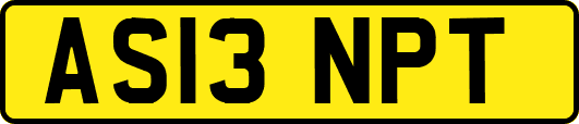 AS13NPT