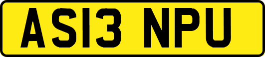 AS13NPU