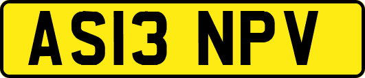 AS13NPV