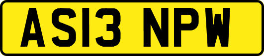AS13NPW