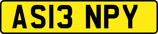 AS13NPY