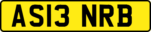 AS13NRB