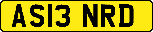 AS13NRD