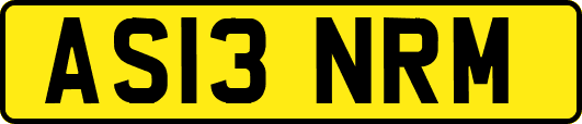 AS13NRM
