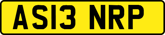 AS13NRP