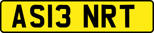 AS13NRT