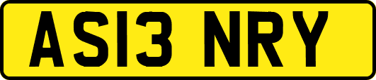 AS13NRY