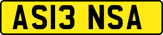 AS13NSA