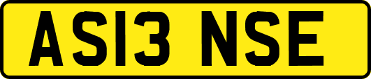 AS13NSE
