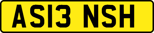 AS13NSH