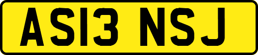 AS13NSJ
