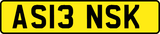 AS13NSK