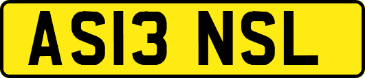 AS13NSL