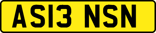 AS13NSN