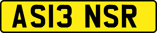 AS13NSR