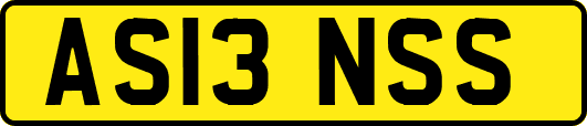 AS13NSS