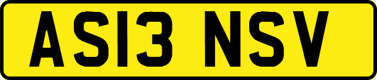 AS13NSV