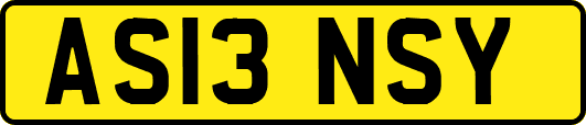 AS13NSY