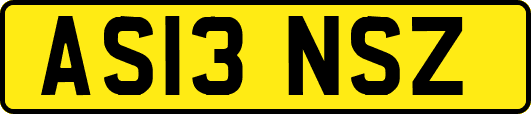AS13NSZ