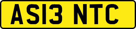 AS13NTC
