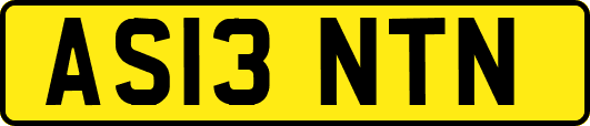AS13NTN