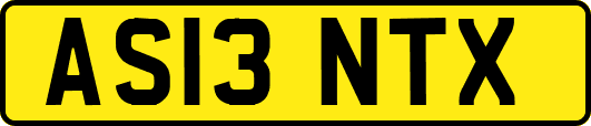 AS13NTX
