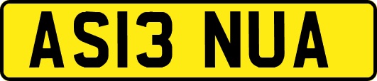 AS13NUA