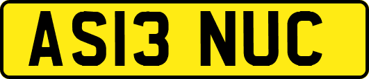 AS13NUC