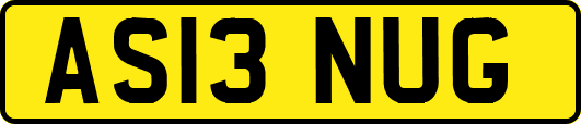 AS13NUG