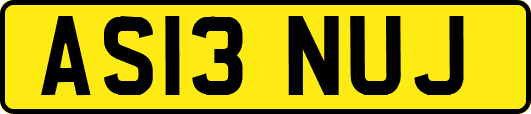 AS13NUJ