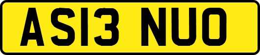 AS13NUO