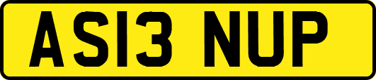 AS13NUP